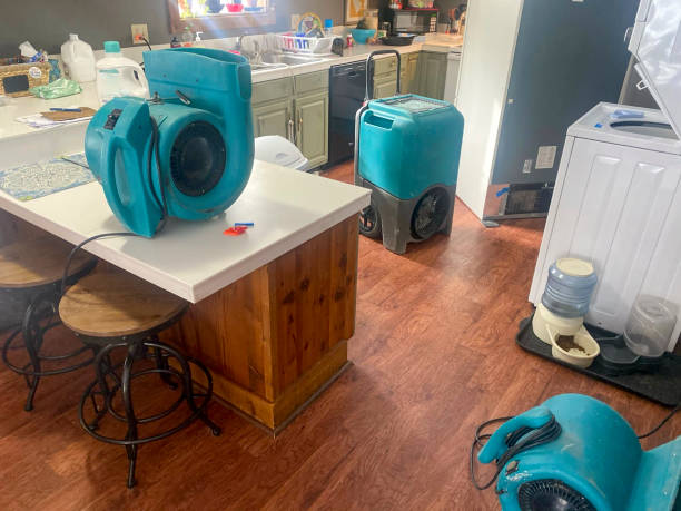 Best Water damage restoration near me  in Mebane, NC