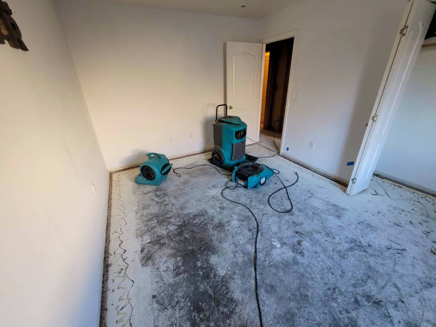 Best Basement water damage restoration  in Mebane, NC