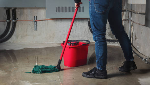 Best Local water damage restoration  in Mebane, NC