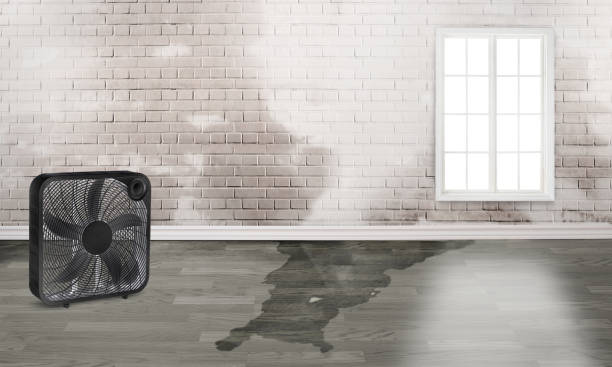 Water damage restoration mold remediation in NC