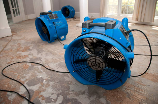 Best Water damage contractors near me  in Mebane, NC
