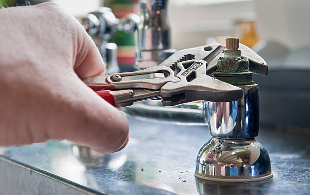 Best Flood damage cleanup  in Mebane, NC