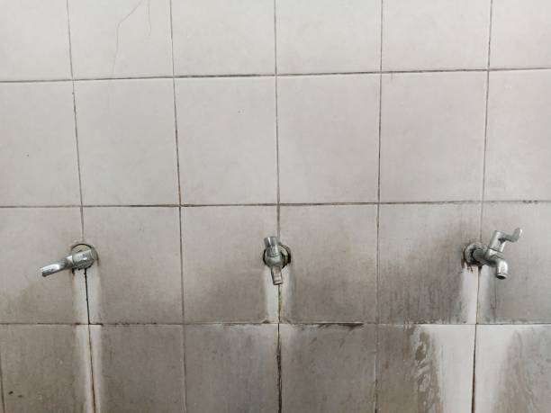 Best Water damage restoration near me  in Mebane, NC