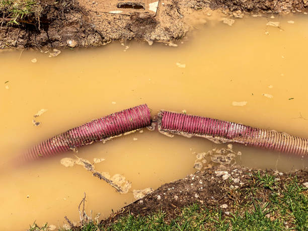 Best Water damage restoration near me  in Mebane, NC