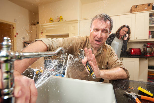 Best Water damage contractors near me  in Mebane, NC